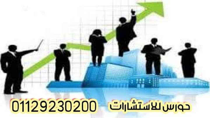 ضمانات الاستثمار في مصر