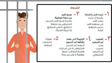 الطلبات والدفوع الشائعة أمام النيابة العامة أو أثناء تجديد الحبس الإحتياطي