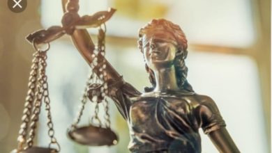 محامي الجاليه السعوديه في مصر