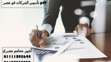 تأسيس الشركات في مصر pdf