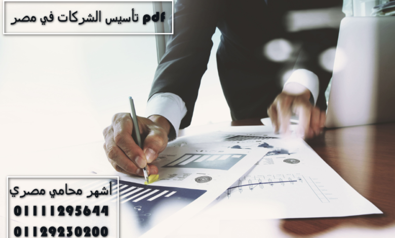 تأسيس الشركات في مصر pdf