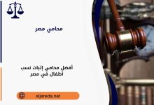 أفضل محامي إثبات نسب أطفال في مصر