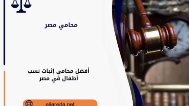 أفضل محامي إثبات نسب أطفال في مصر