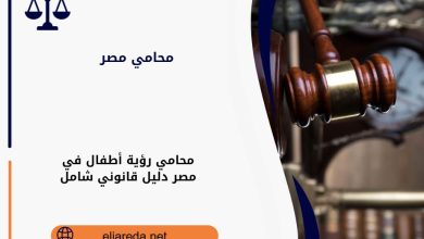 محامي رؤية أطفال في مصر