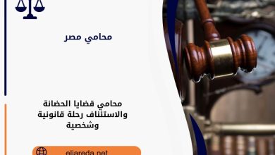 محامي قضايا الحضانة والاستئناف