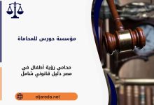 محامي رؤية أطفال في مصر