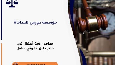 محامي رؤية أطفال في مصر