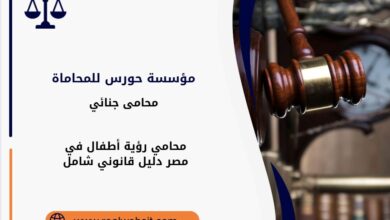 محامي رؤية أطفال في مصر
