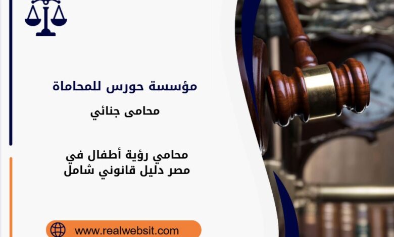 محامي رؤية أطفال في مصر