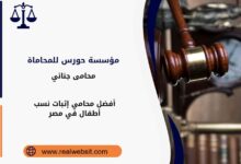 محامي إثبات نسب أطفال في مصر