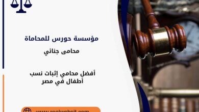 محامي إثبات نسب أطفال في مصر