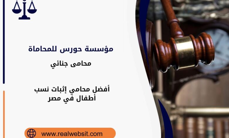 محامي إثبات نسب أطفال في مصر