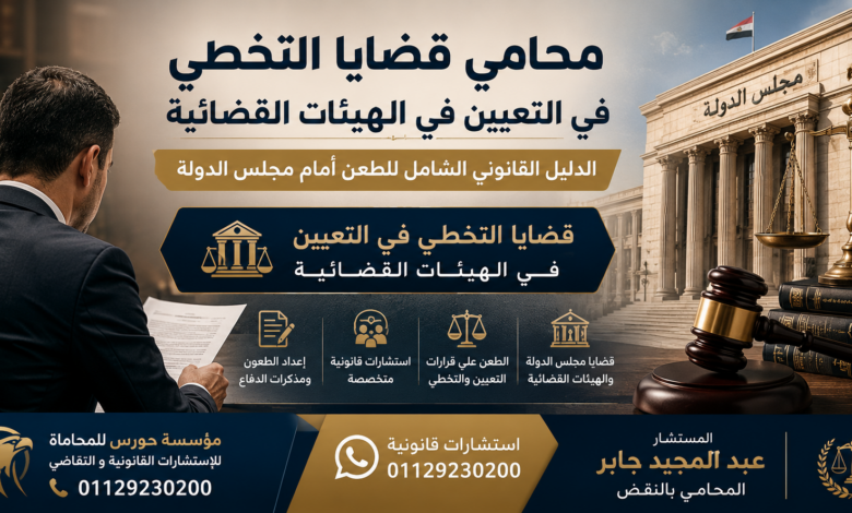 محامي قضايا التخطي في التعيين في الهيئات القضائية 