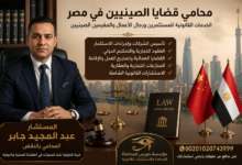 محامي قضايا الصينيين في مصر | الخدمات القانونية للمستثمرين ورجال الأعمال والمقيمين الصينيين