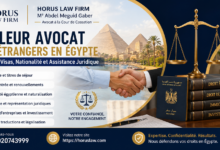 Meilleur avocat pour étrangers en Égypte | Résidence, visas, nationalité et assistance juridique