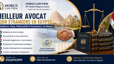 Meilleur avocat pour étrangers en Égypte | Résidence, visas, nationalité et assistance juridique